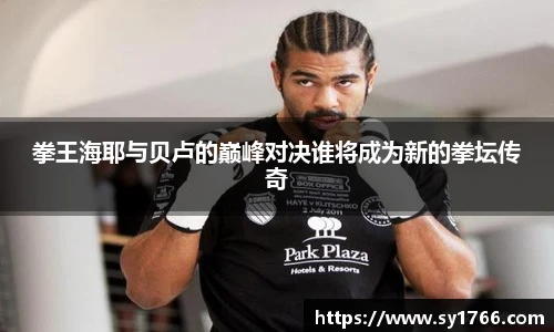 拳王海耶与贝卢的巅峰对决谁将成为新的拳坛传奇